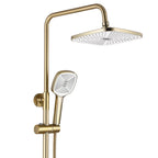 Zuhanyszett REA ARGUS GOLD BRUSH 4