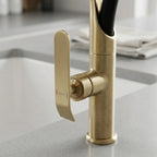Konyhai Csaptelep Rea Castor Gold Brush 5
