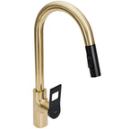 Konyhai Csaptelep Rea SOUL Gold Black 7